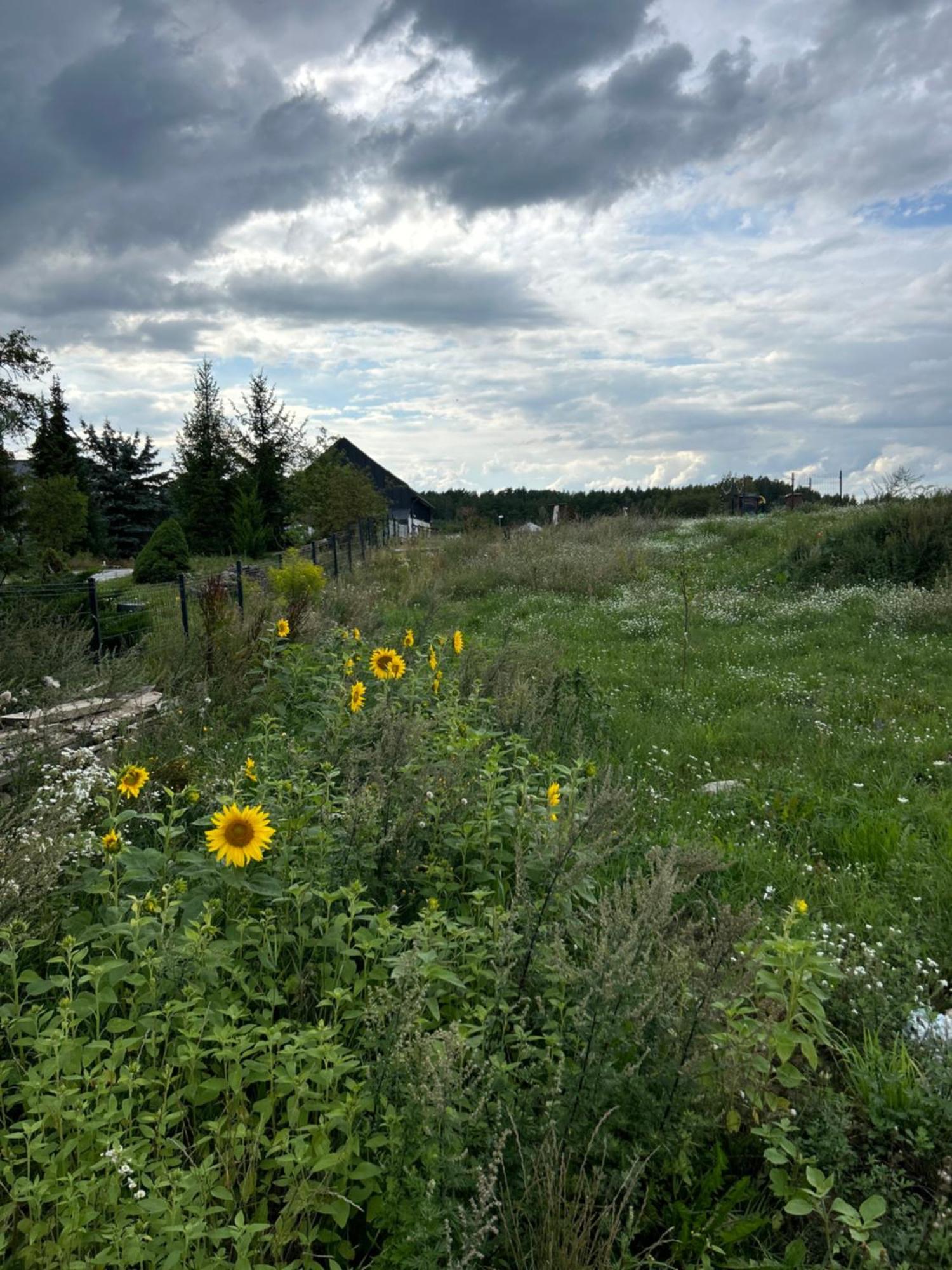 Апартаменти Nowa Stodola Koniec Swiata Міколайкі Екстер'єр фото